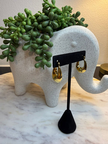 Classic Gold Earrings